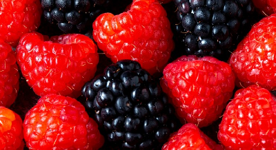 Практические основы ухода за плодово-ягодными культурами в органическом земледелии Практические основы ухода за плодово-ягодными культурами в органическом земледелии