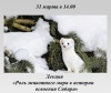 Роль животного мира в истории освоения Сибири
