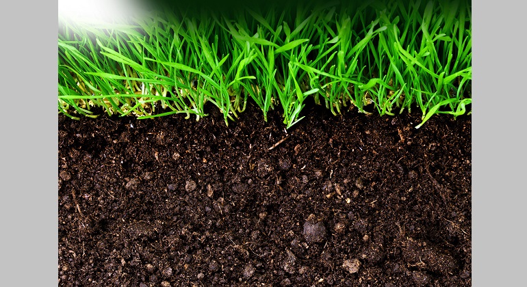 Лекция «Значение микрофлоры почвы в образовании плодородия»