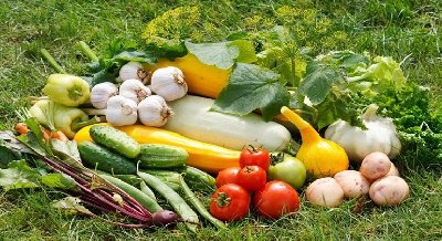 Огород – свежее и полезное каждую неделю